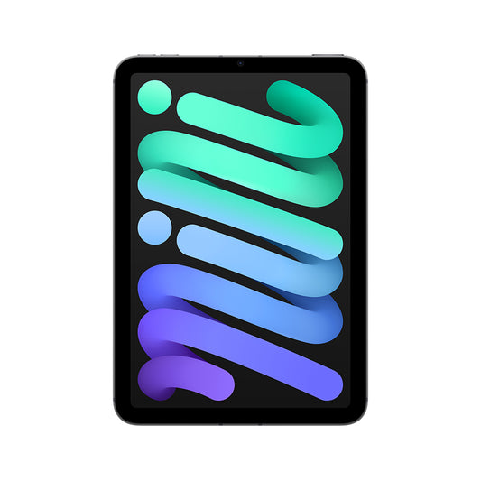 iPad_mini_WiFi_+_Cellular_256_GB_Gris_espacial_(A17_Pro)_Imagen_posicion_1_iShop_Costa_Rica