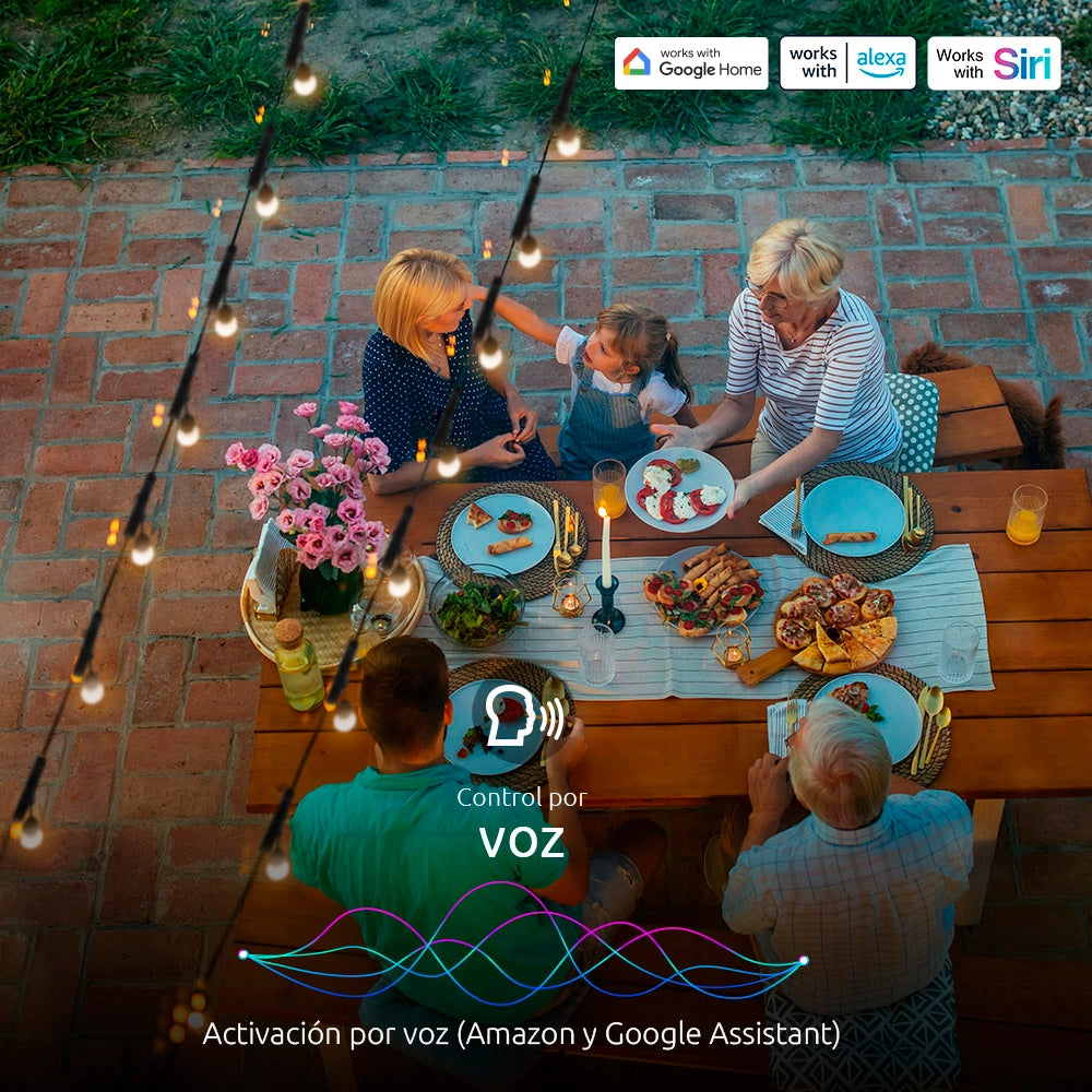 Guirnalda de Luces Inteligente Nexxt con Conexión Wifi