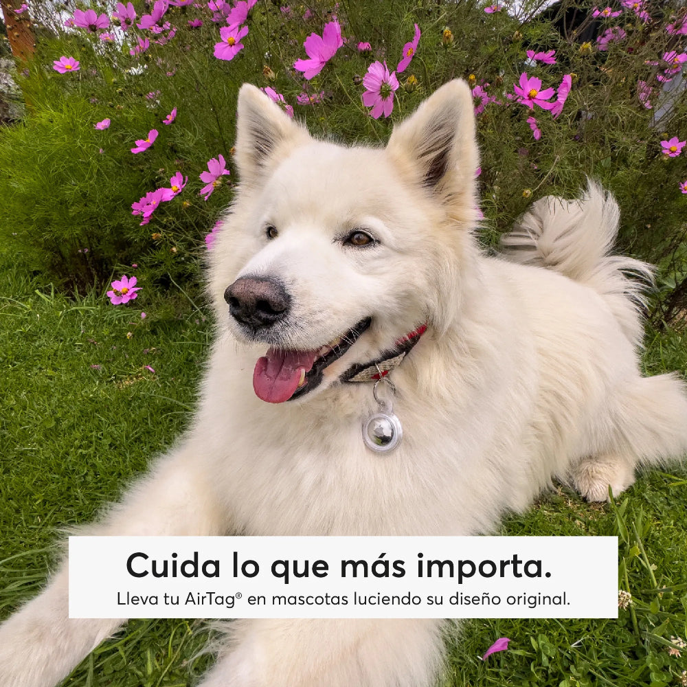 Llavero NCO impermeable para Airtag - Transparente