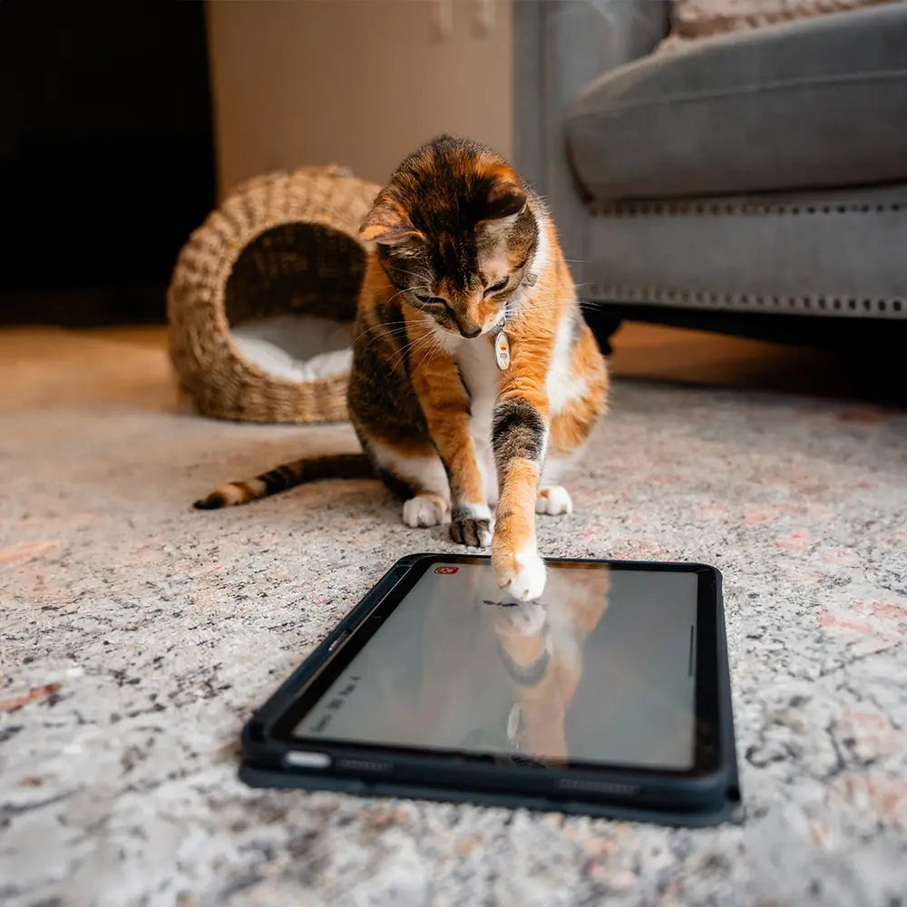 Protector de pantalla NCO GlassGuard para iPad mini A17 Pro