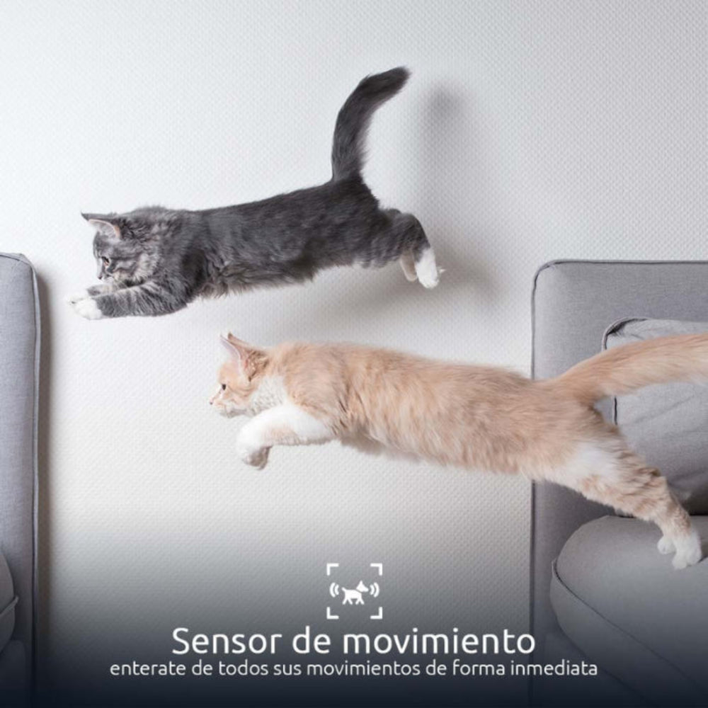 Dispensador de Comida Nexxt para Mascota Inteligente con Cámara - Blanco