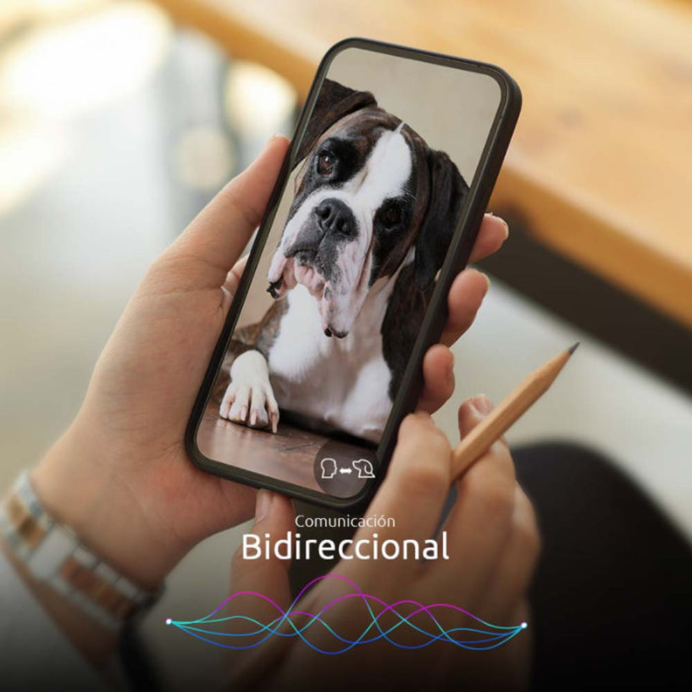 Dispensador de Comida Nexxt para Mascota Inteligente con Cámara - Blanco